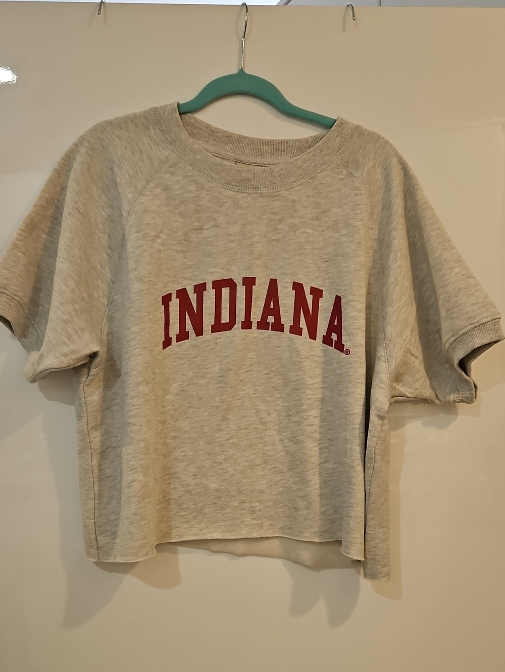 Chicka-d Indiana University Graphic Crewneck Crop Short Sleeve Sweatshirt